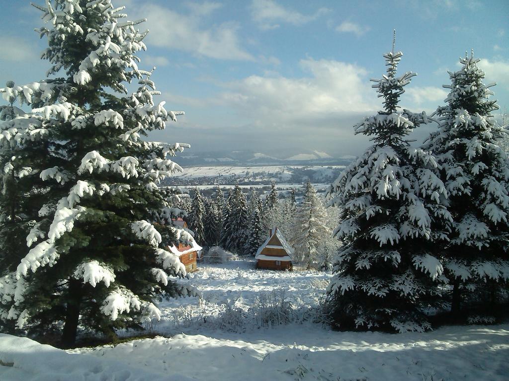 Panorama Tatr Hotel Zakopane Exterior foto